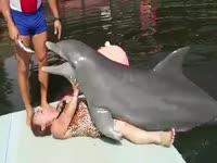 Dolphin porn with a sexy babe